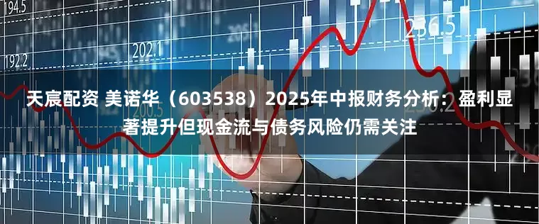 天宸配资 美诺华（603538）2025年中报财务分析：盈利显著提升但现金流与债务风险仍需关注